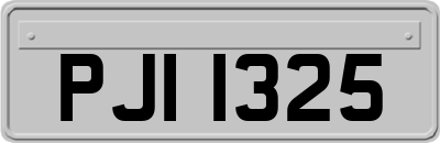 PJI1325