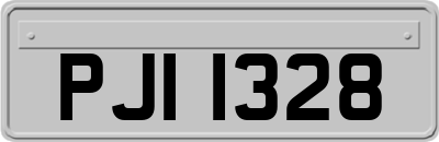 PJI1328