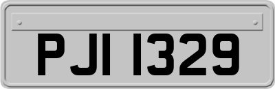 PJI1329