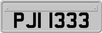 PJI1333