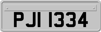 PJI1334