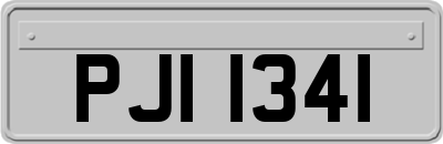 PJI1341