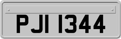 PJI1344