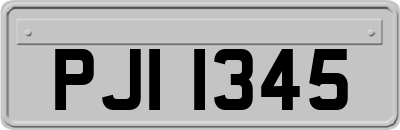 PJI1345