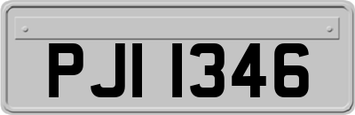 PJI1346