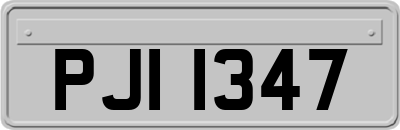PJI1347