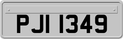 PJI1349