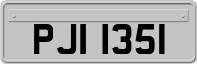 PJI1351