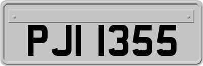 PJI1355