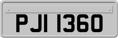PJI1360