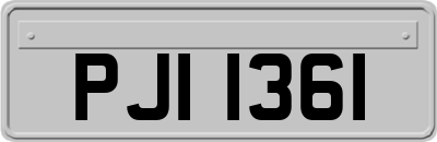 PJI1361