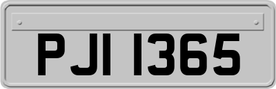 PJI1365