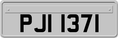 PJI1371