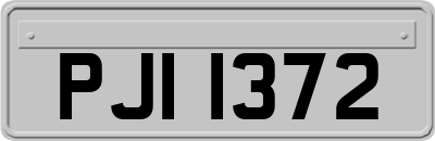 PJI1372