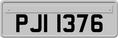 PJI1376