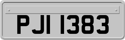 PJI1383