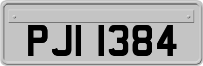 PJI1384