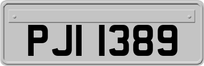 PJI1389
