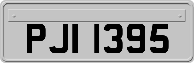 PJI1395