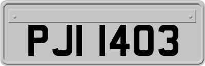 PJI1403