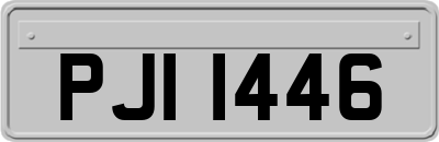 PJI1446