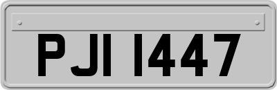 PJI1447