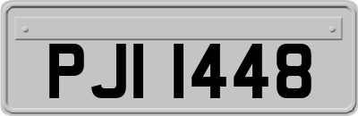 PJI1448