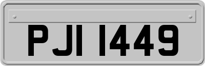 PJI1449