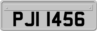 PJI1456