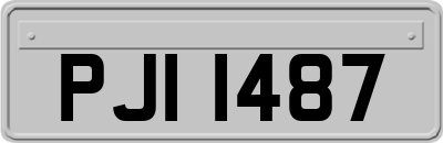 PJI1487