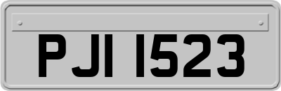PJI1523