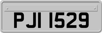 PJI1529