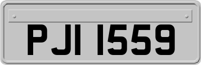 PJI1559