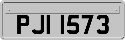 PJI1573