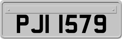 PJI1579