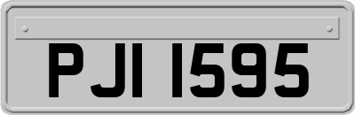 PJI1595