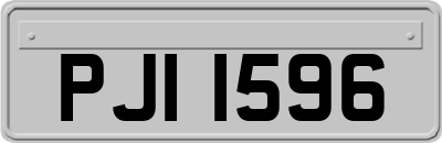 PJI1596