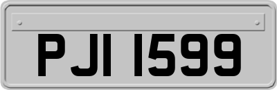 PJI1599