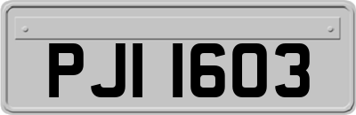 PJI1603