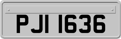 PJI1636