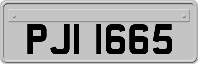 PJI1665