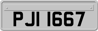 PJI1667