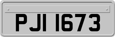 PJI1673