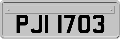 PJI1703
