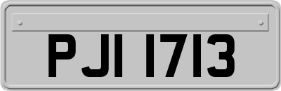 PJI1713