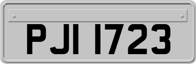 PJI1723