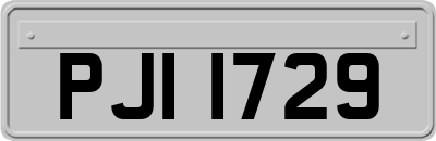 PJI1729