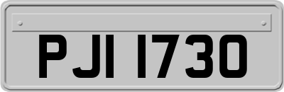 PJI1730