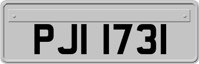 PJI1731