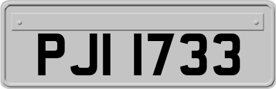 PJI1733